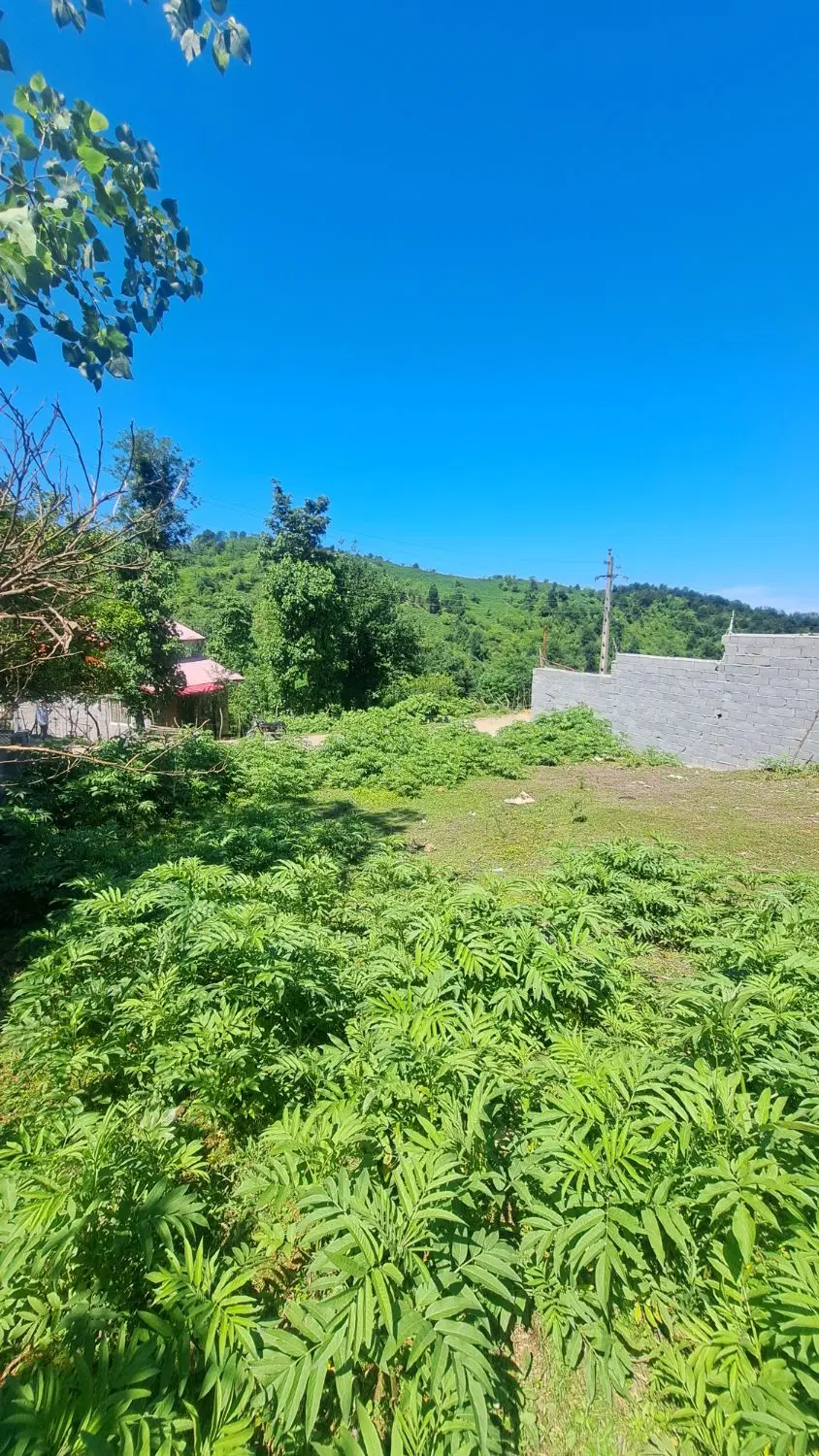 زمین مسکونی با پروانه (سوتگوابر)
