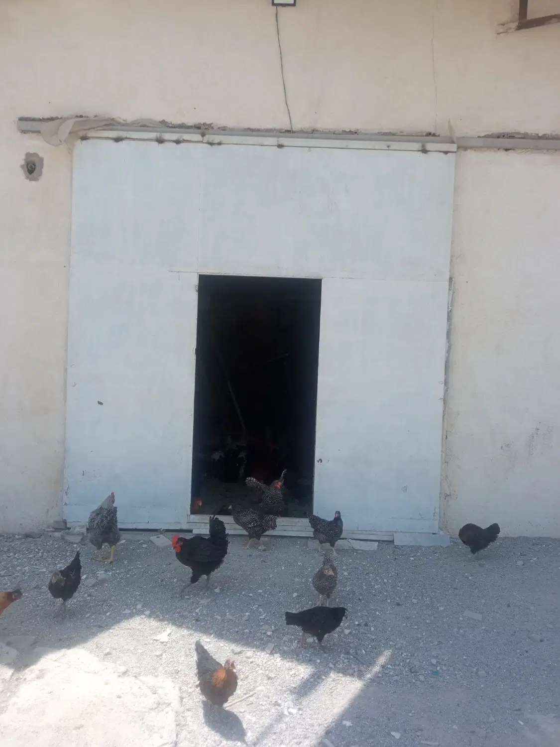 اجاره سوله شهریار
