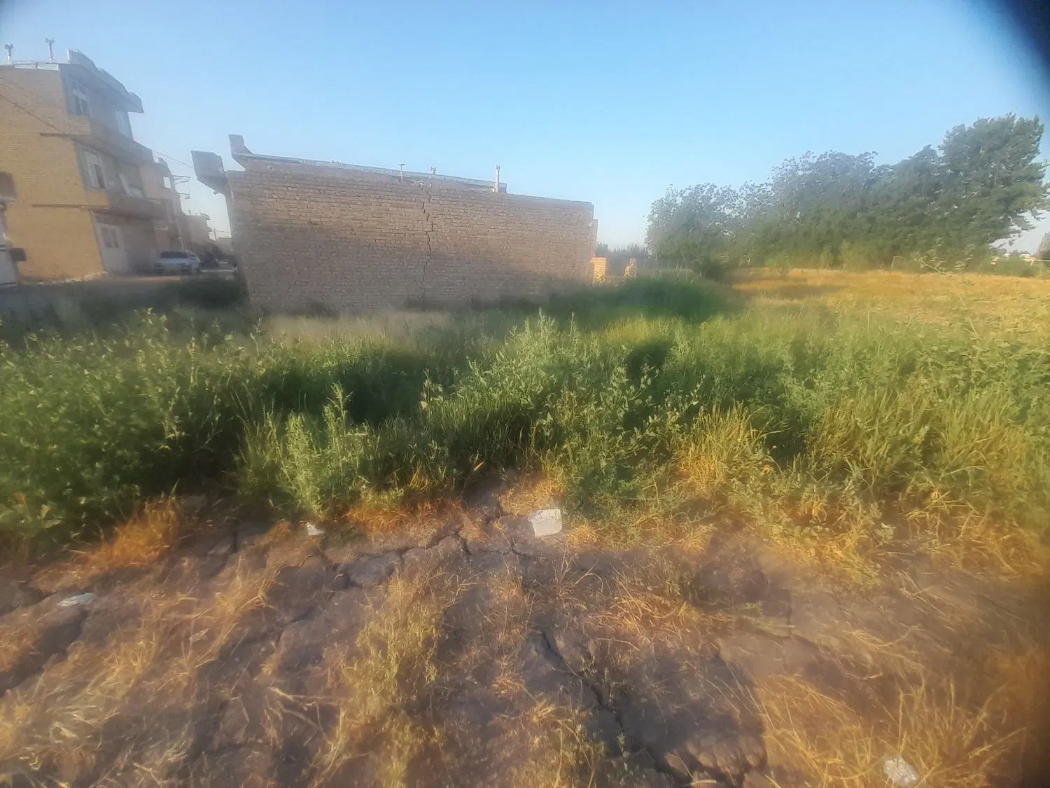 آقای گلزار