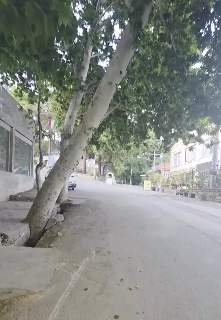 مسکونی تجاری شهر درود دررود ۳۷۳ متری