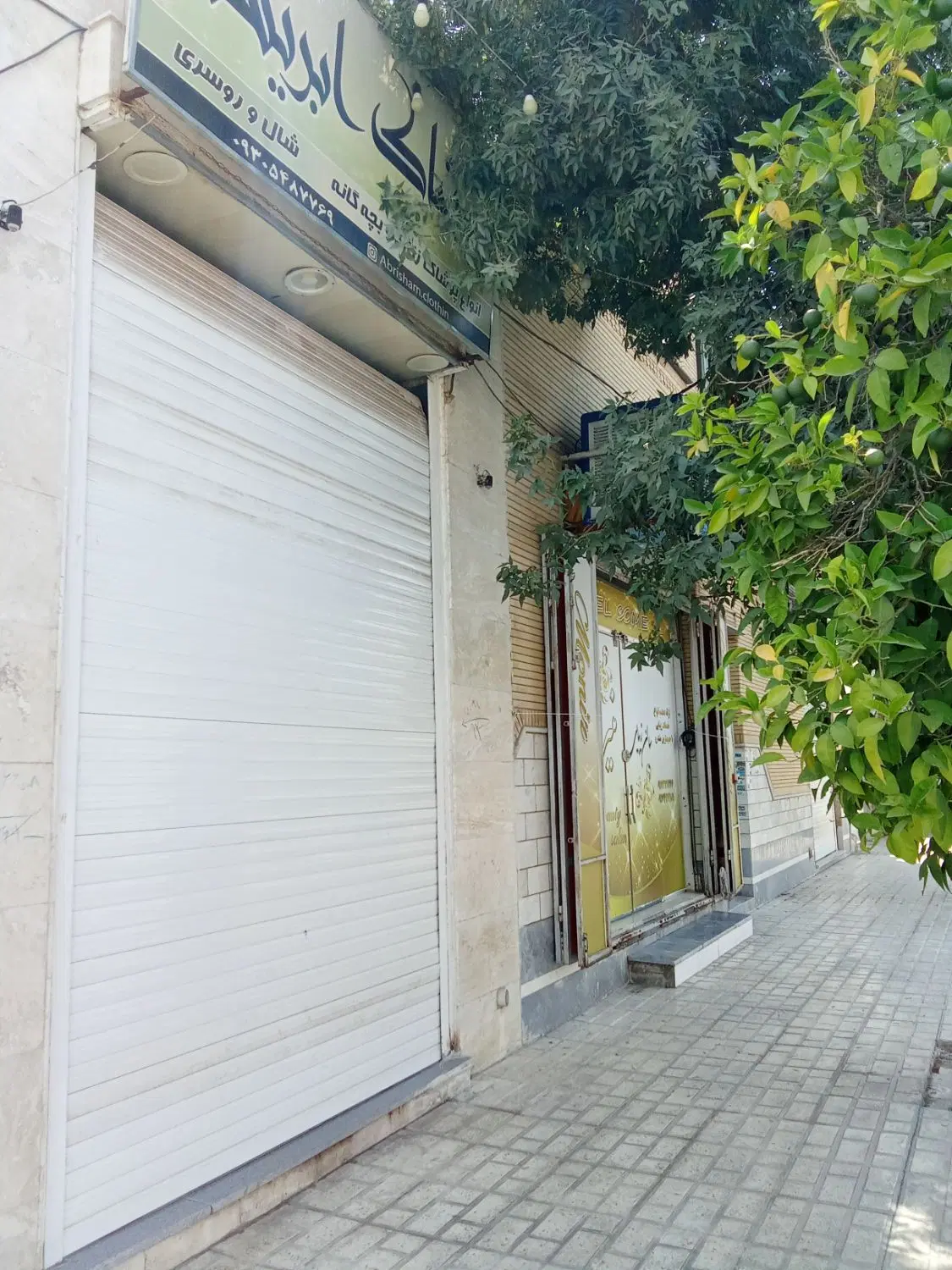 مغازه پودنک