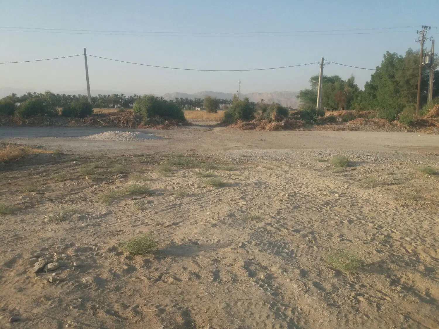 زمین برای فروش