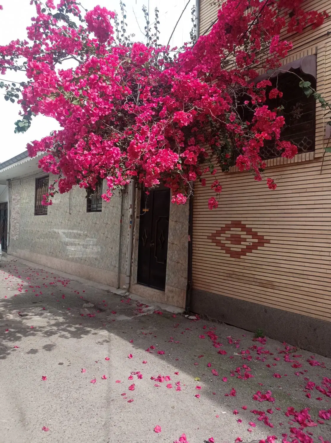 زمین ۸۰متری