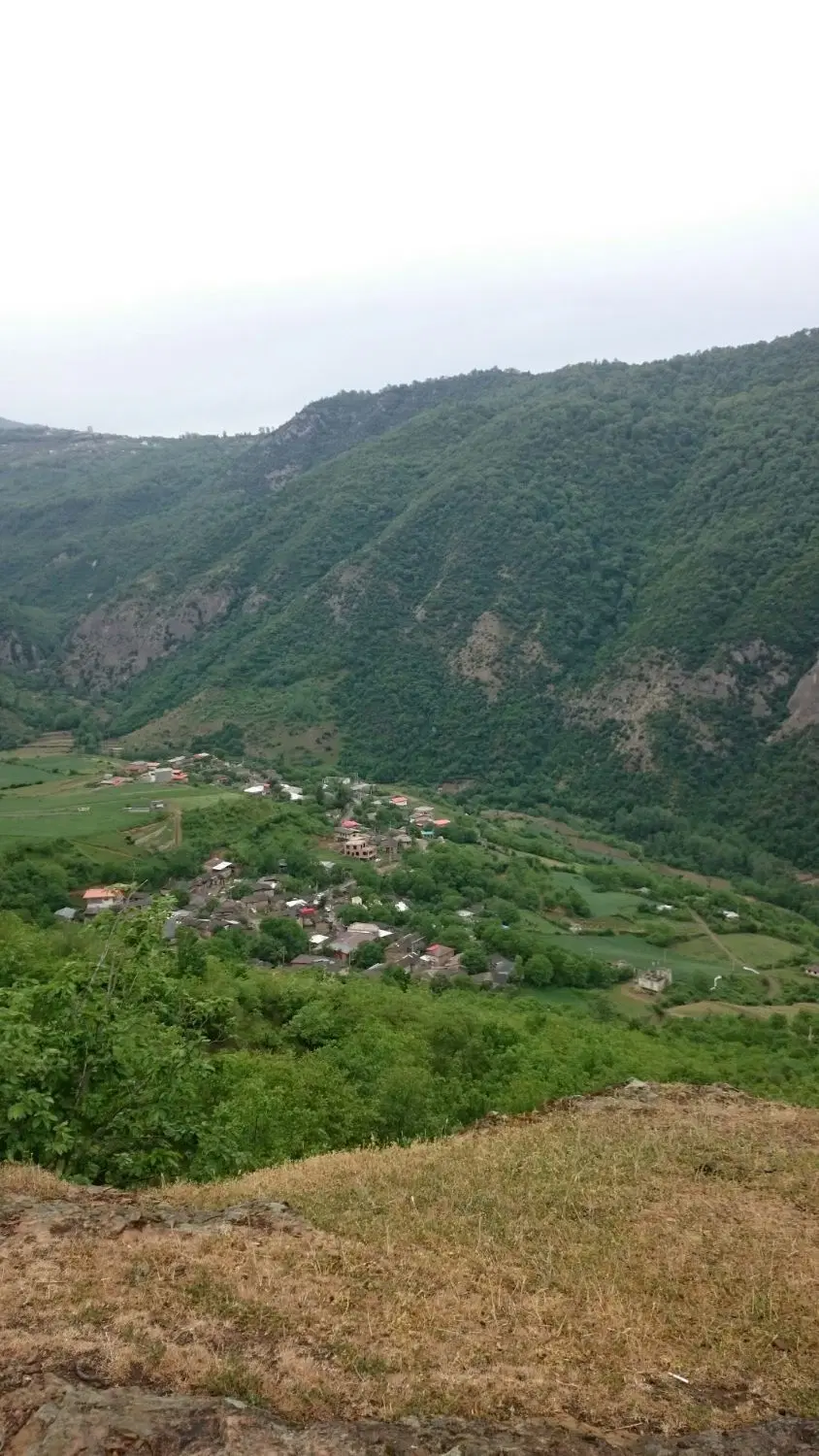 زمین باغی