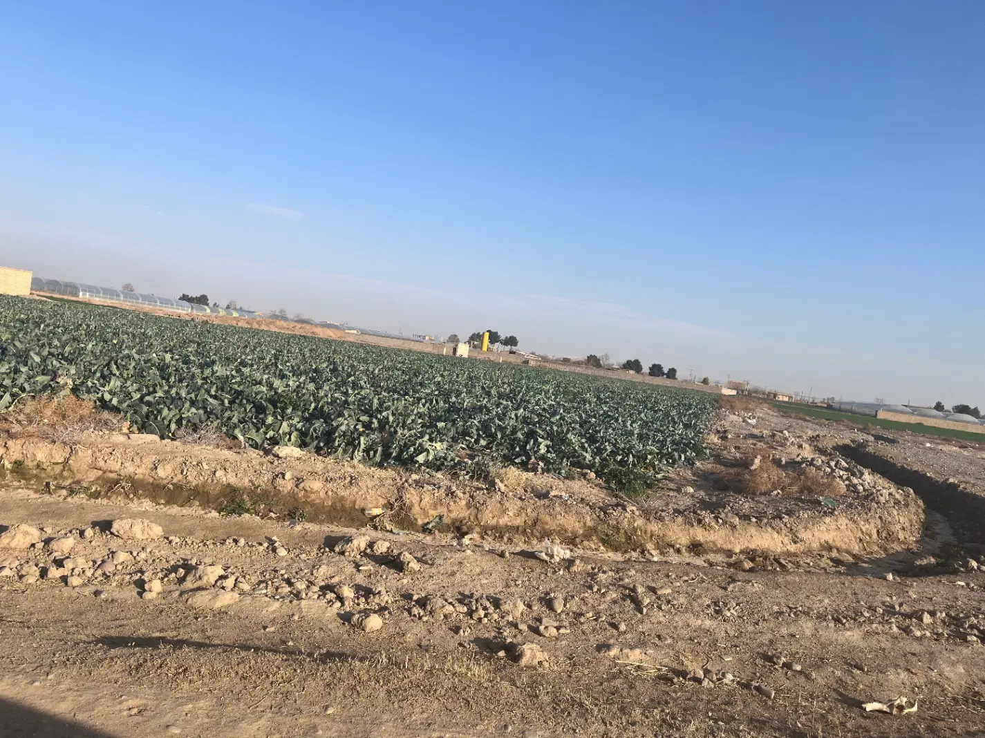 ۱۶هزار متر زمین کشاورزی مجهز