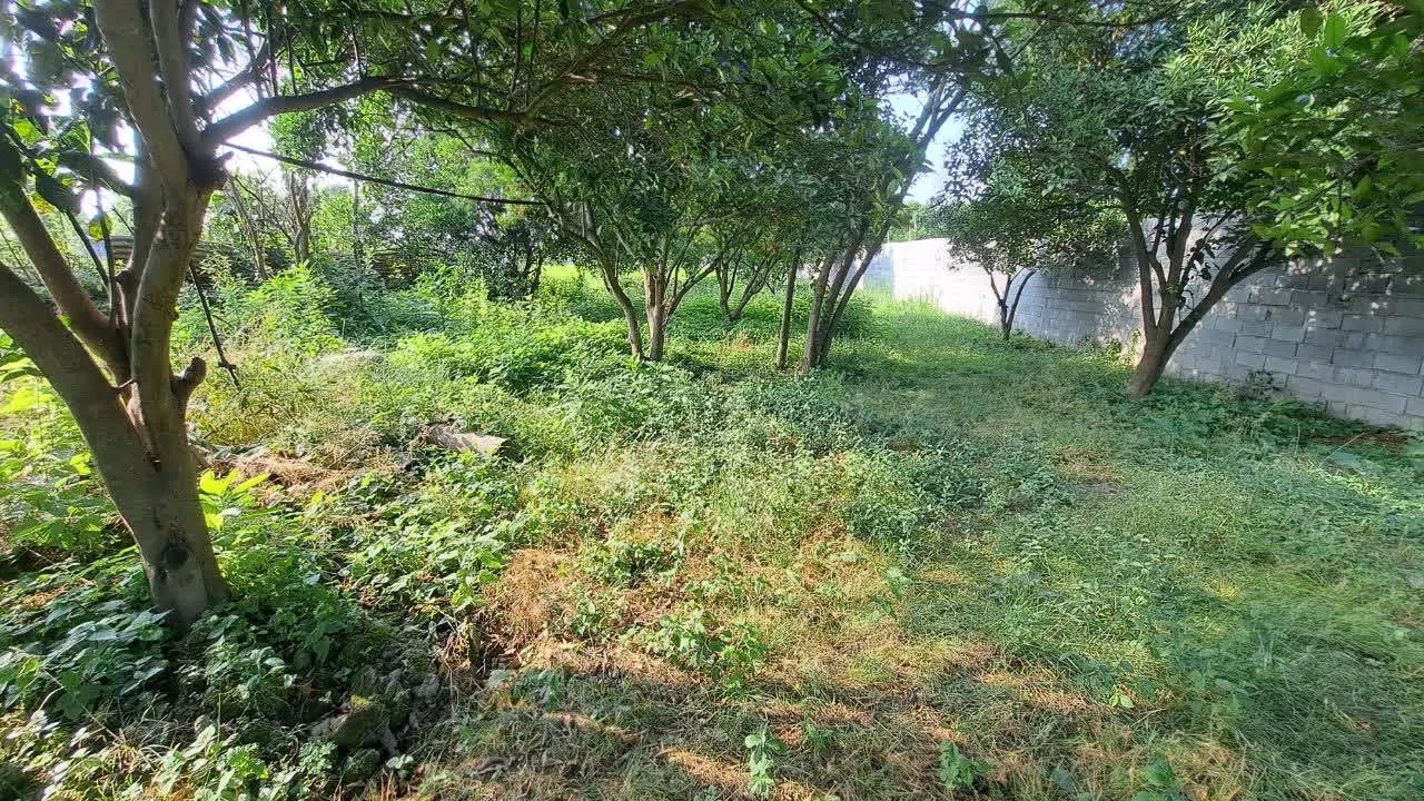 خانه روستایی ۳۰۰ متر_بازسازی‌خور_۳ کنتور مجزا