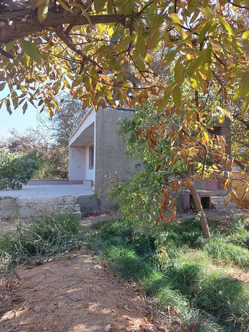 باغچه ۲۵۰۰ متری در فیروزبهرام