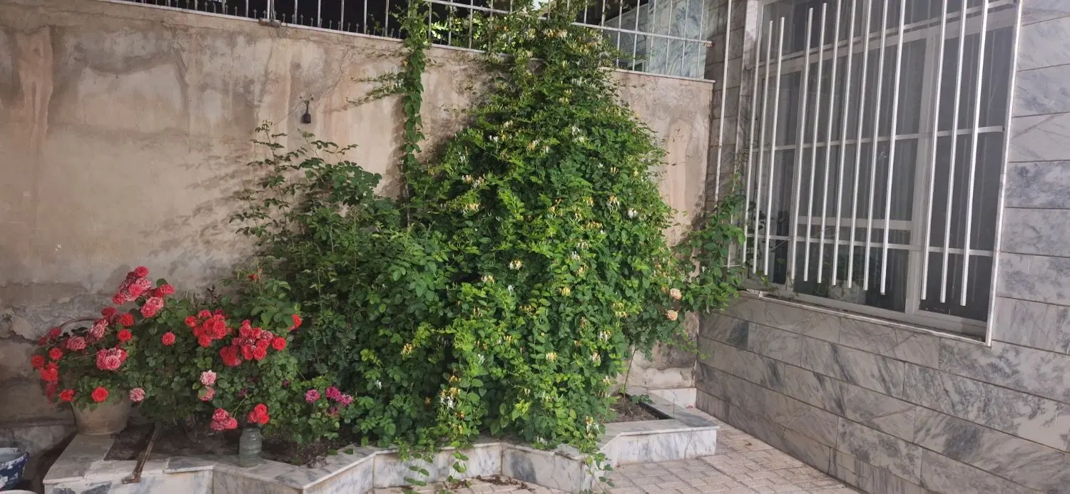 منزل ویلایی _171 متر_ یک طبقه _سنددار _مطهری شمالی