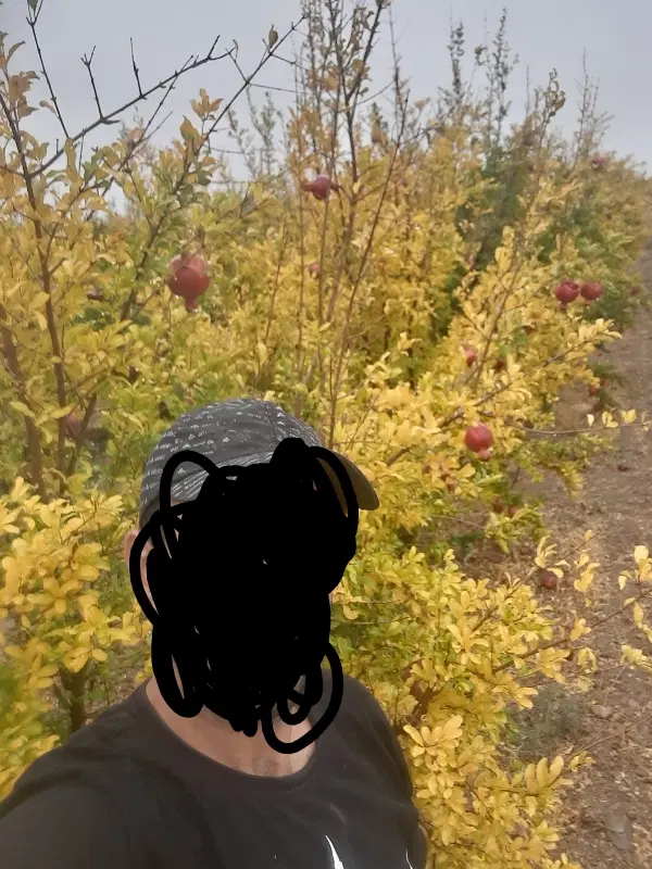 اب و هوا بسیار عالی