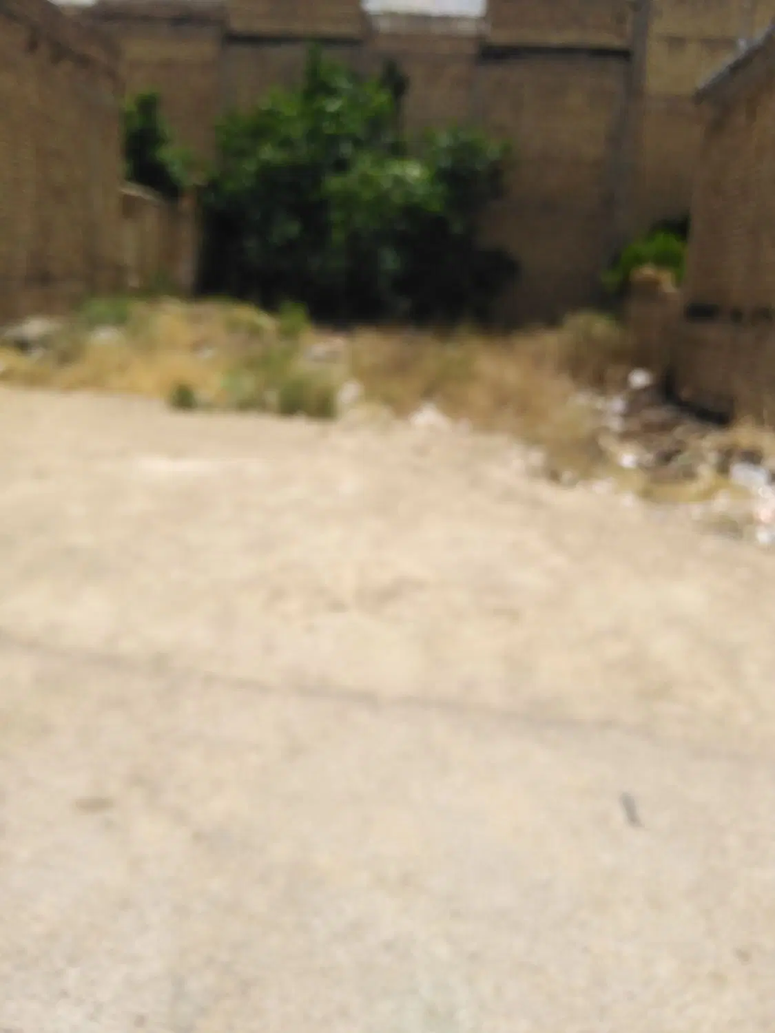 فروش زمین ۳۱۰متر