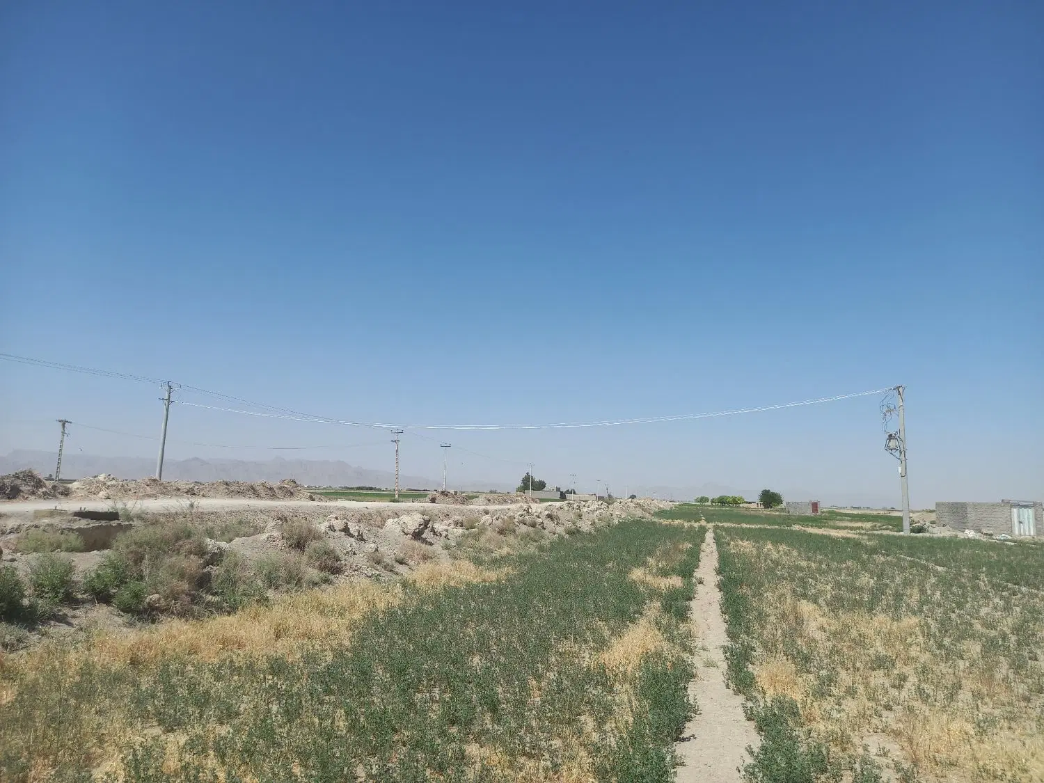 زمین کشاورزی موسیان