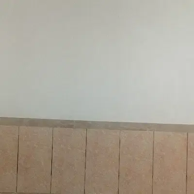 خانه صاحب