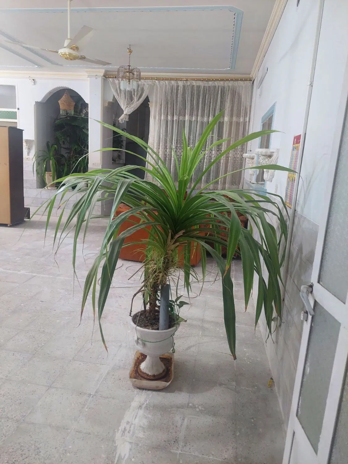 فروش ملک