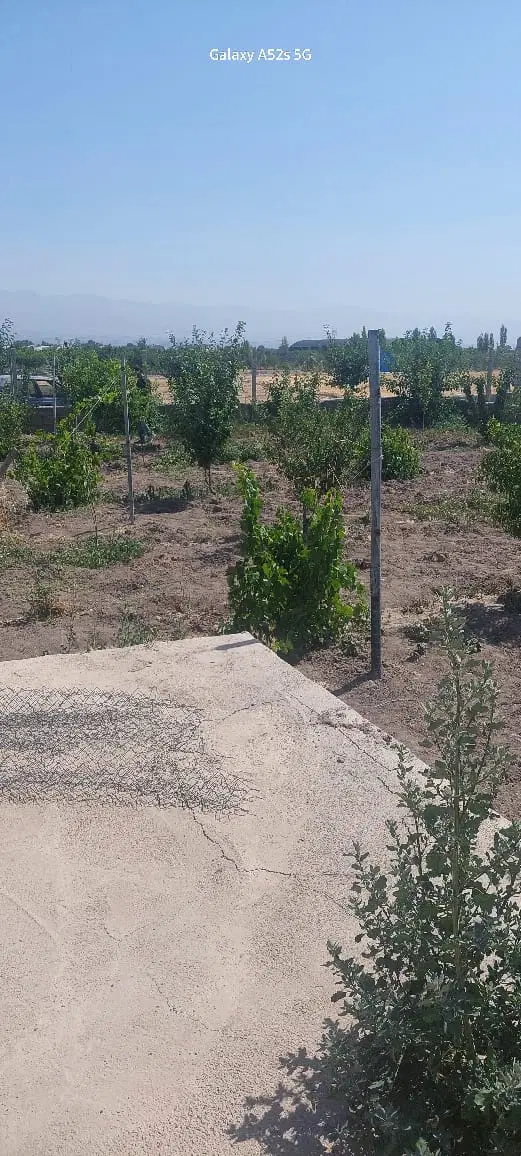 فروش باغچه ۵۰۰ متری هشتگرد روستای ابراهیم بیک