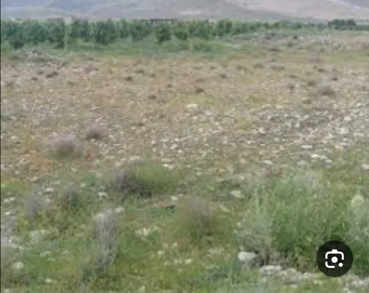 زمین مسکونی واقع در تلپوک سروستان