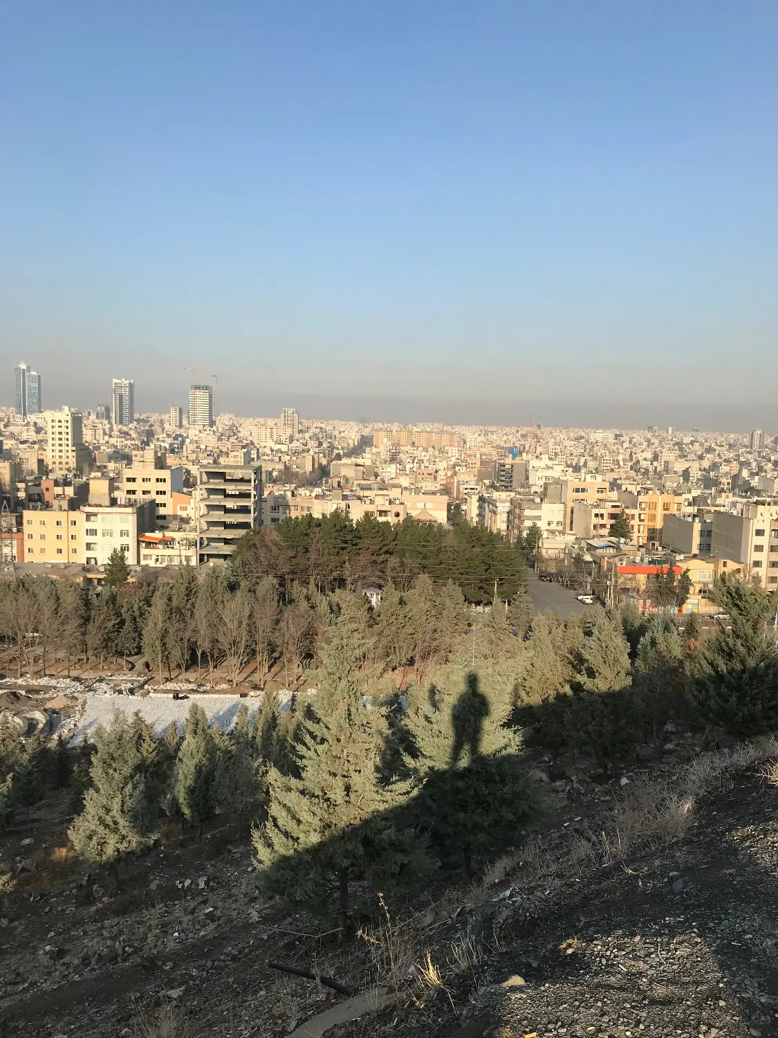 هم خانه خانم