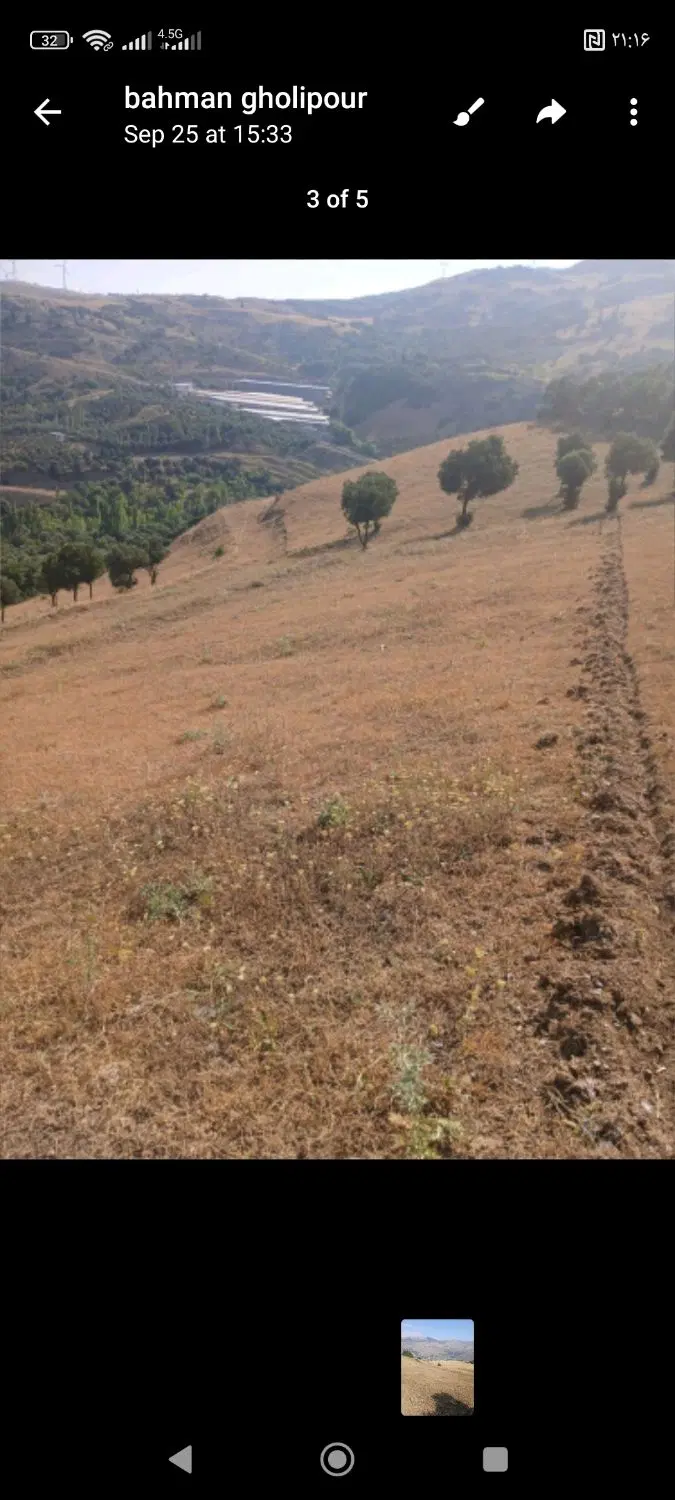 زمین کشاورزی