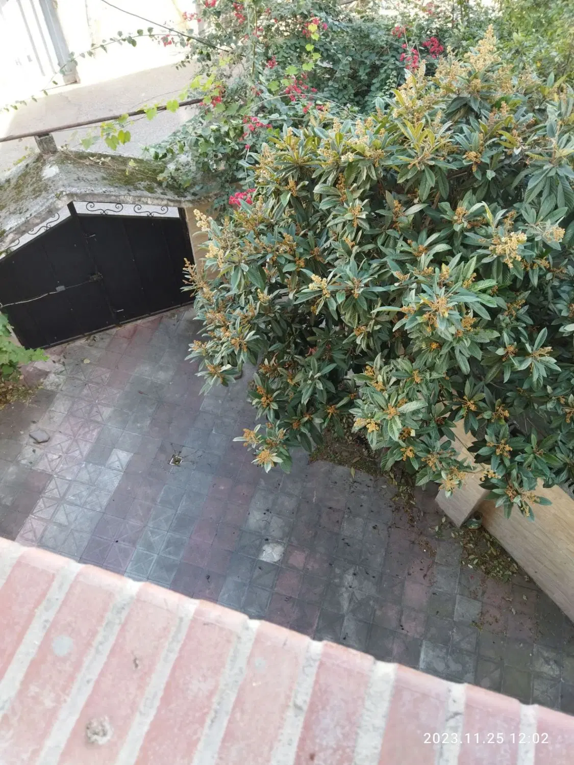 سنددار.پارکینگ اختصاصی.کوچه اعتماد
