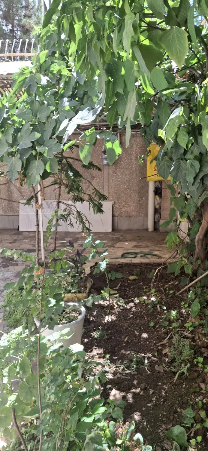 یوسف‌آباد جهان‌آرا ۱۸۶ متر کلنگی بر ۸ شمالی