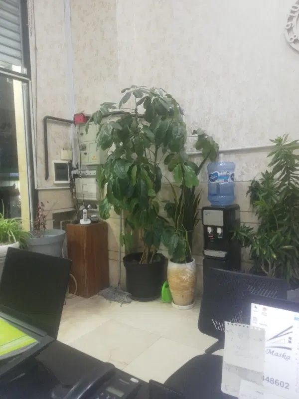واحد 70متری دو خواب جنت شمال