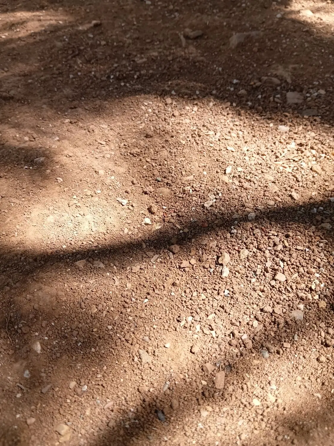 زمین فروشی