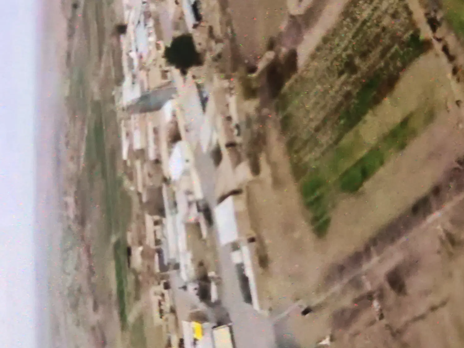 باغ زمین