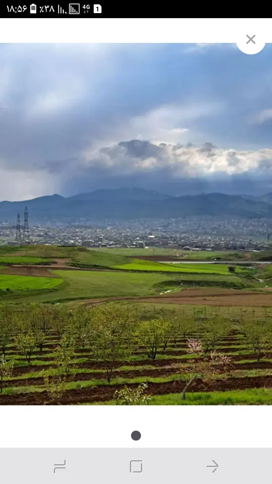 یک هکتار زمین دارم