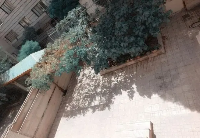 زیر زمین ۵۰ متری شامل تمامی امکانات