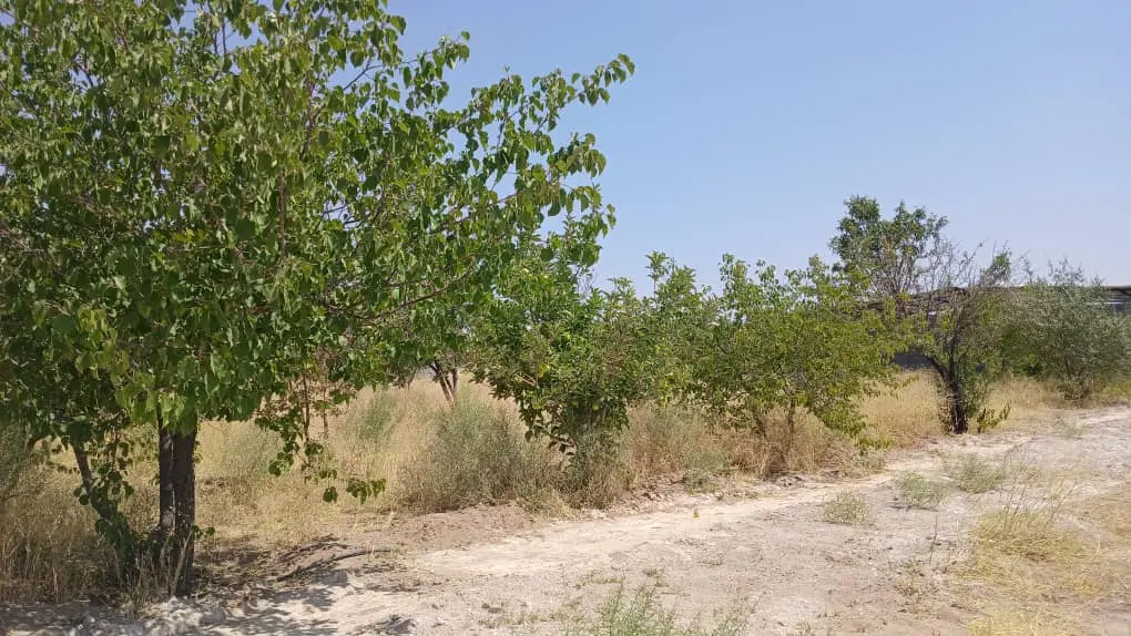 فروش زمین مسکونی  در روستای سردسیر شهر بافت