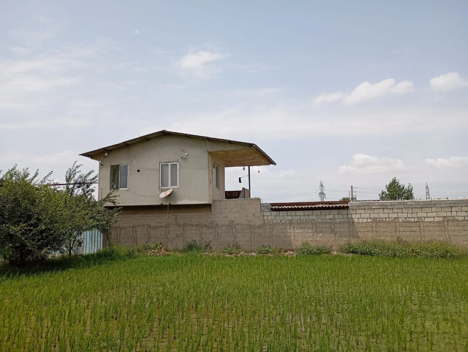اجاره دامداری صنعتی
