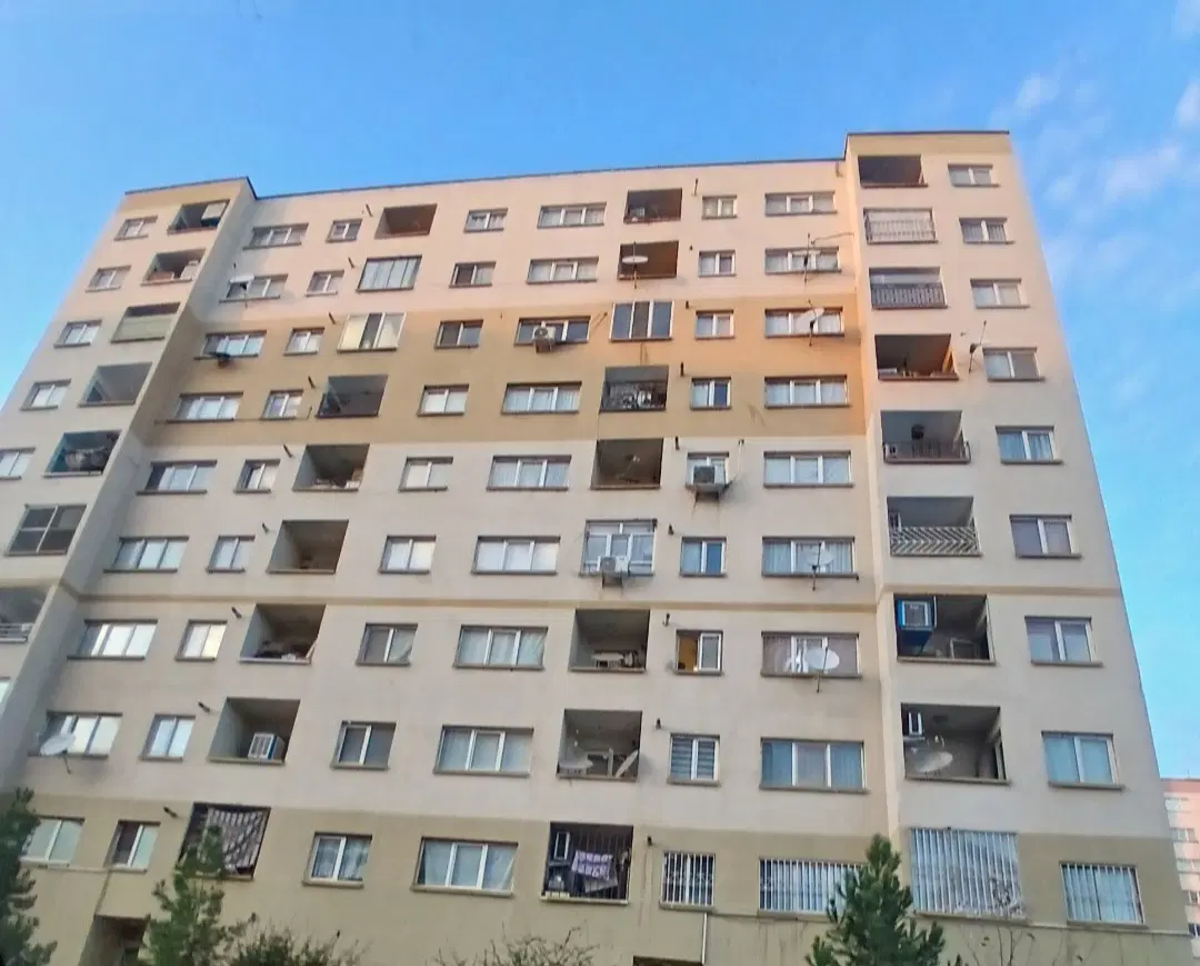 پردیسان کاج نارون بهمن گلستان بهارستان چناران سپهر