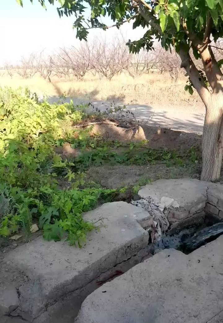 باغ میوه حدود۱هکتارونیم با۱۰ساعت آب چاه برقی
