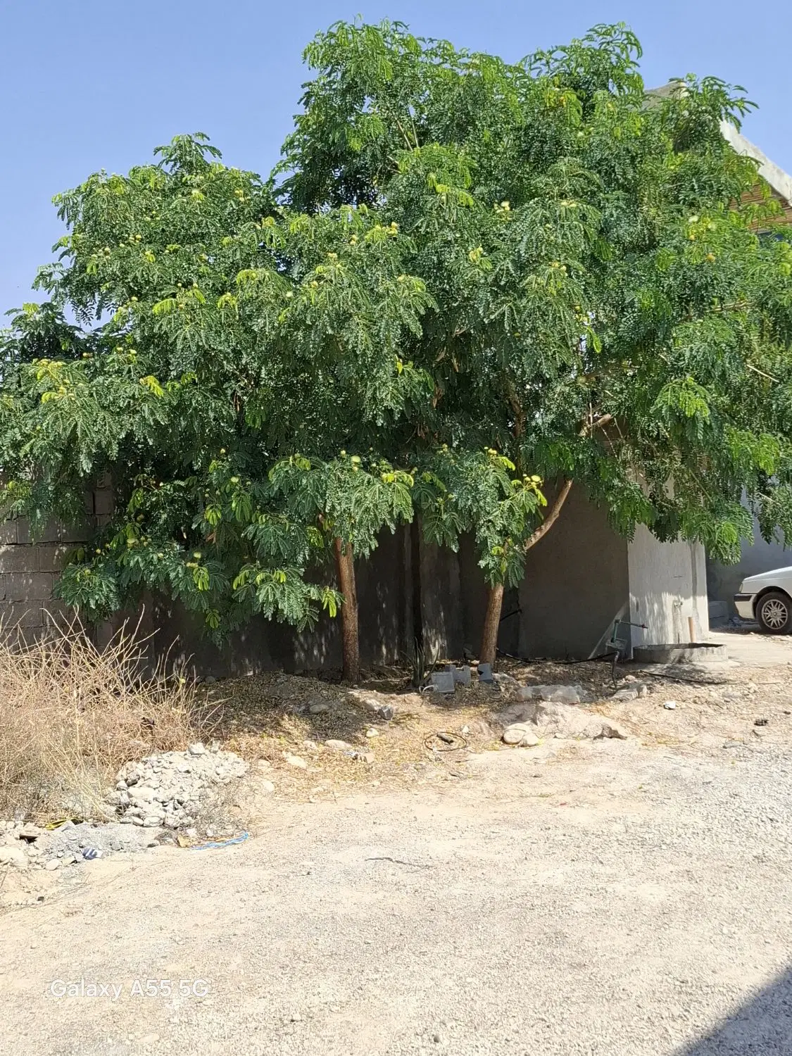 زمین روبه روتالار تیپ