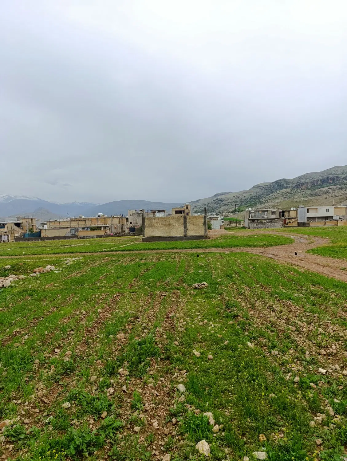 زمین مسکونی