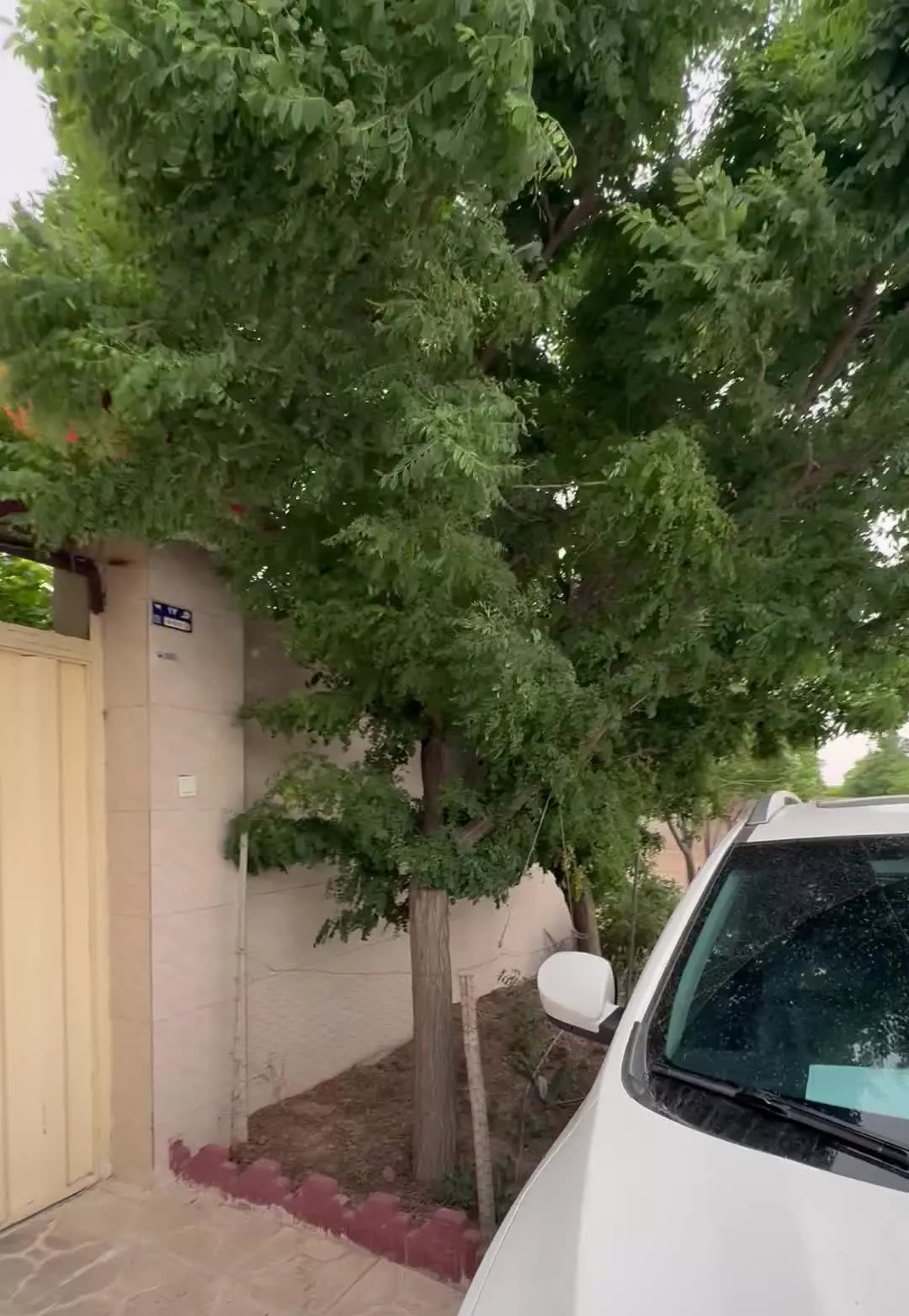 باغچه بافت مسکونی آب برق گاز پیشوا شریف آباد