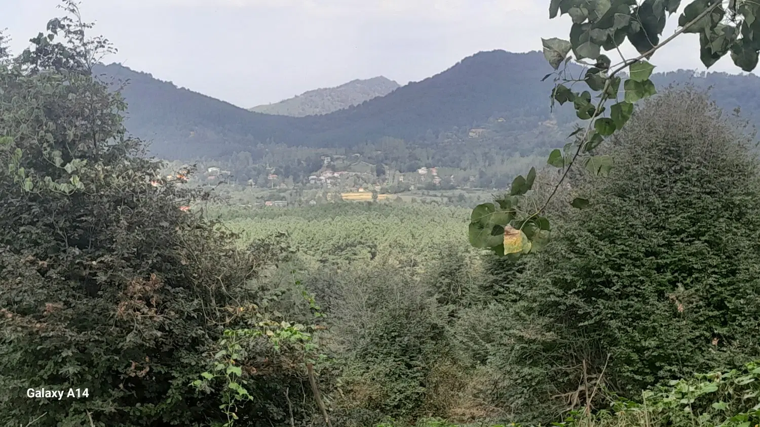 زمین مسکونی چهاردیواری