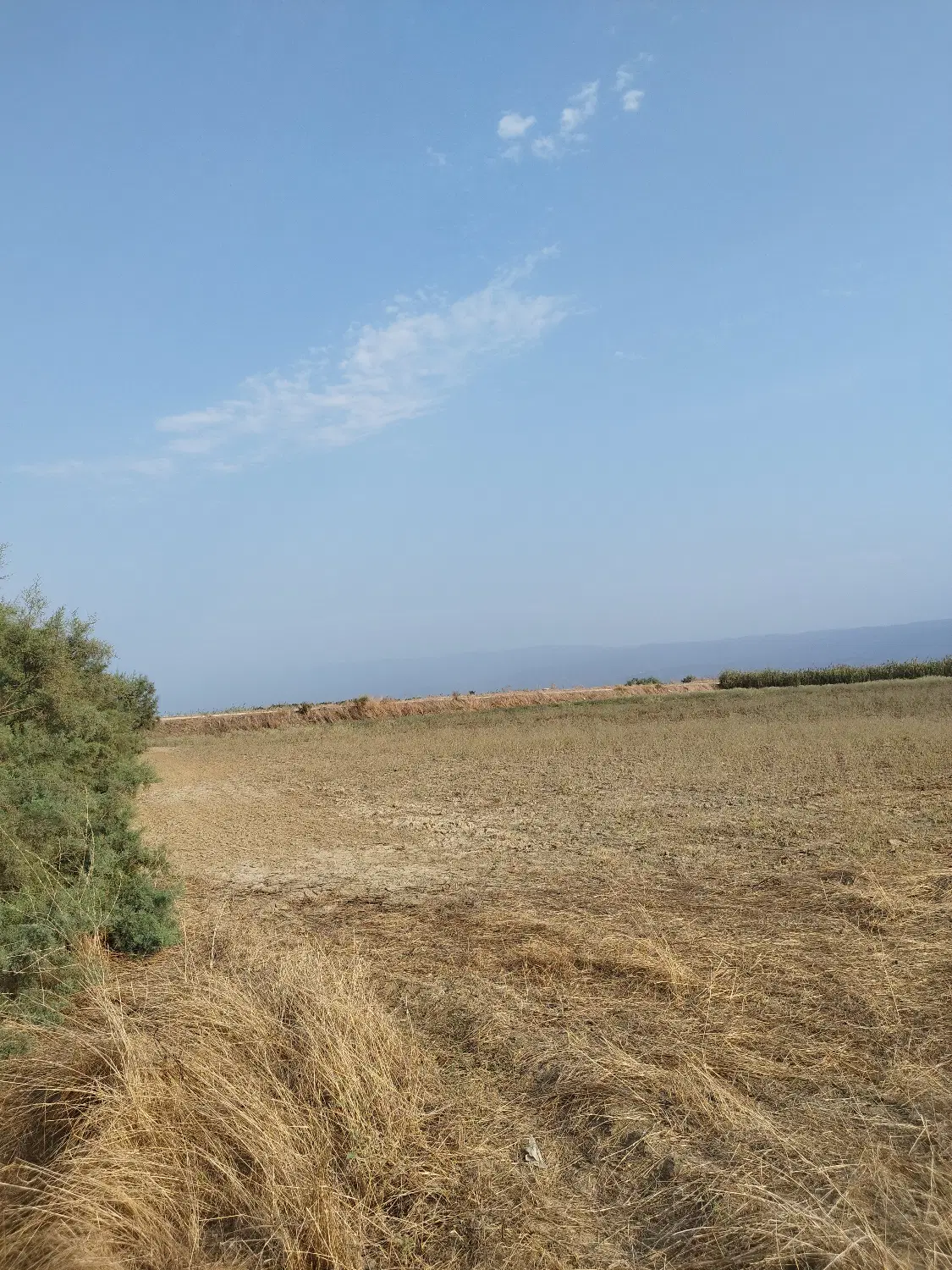 زمین کشاورزی
