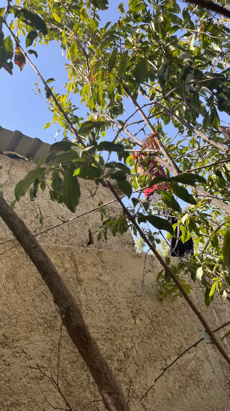 زمین ۱۶۸ متری مناسب سرمایه