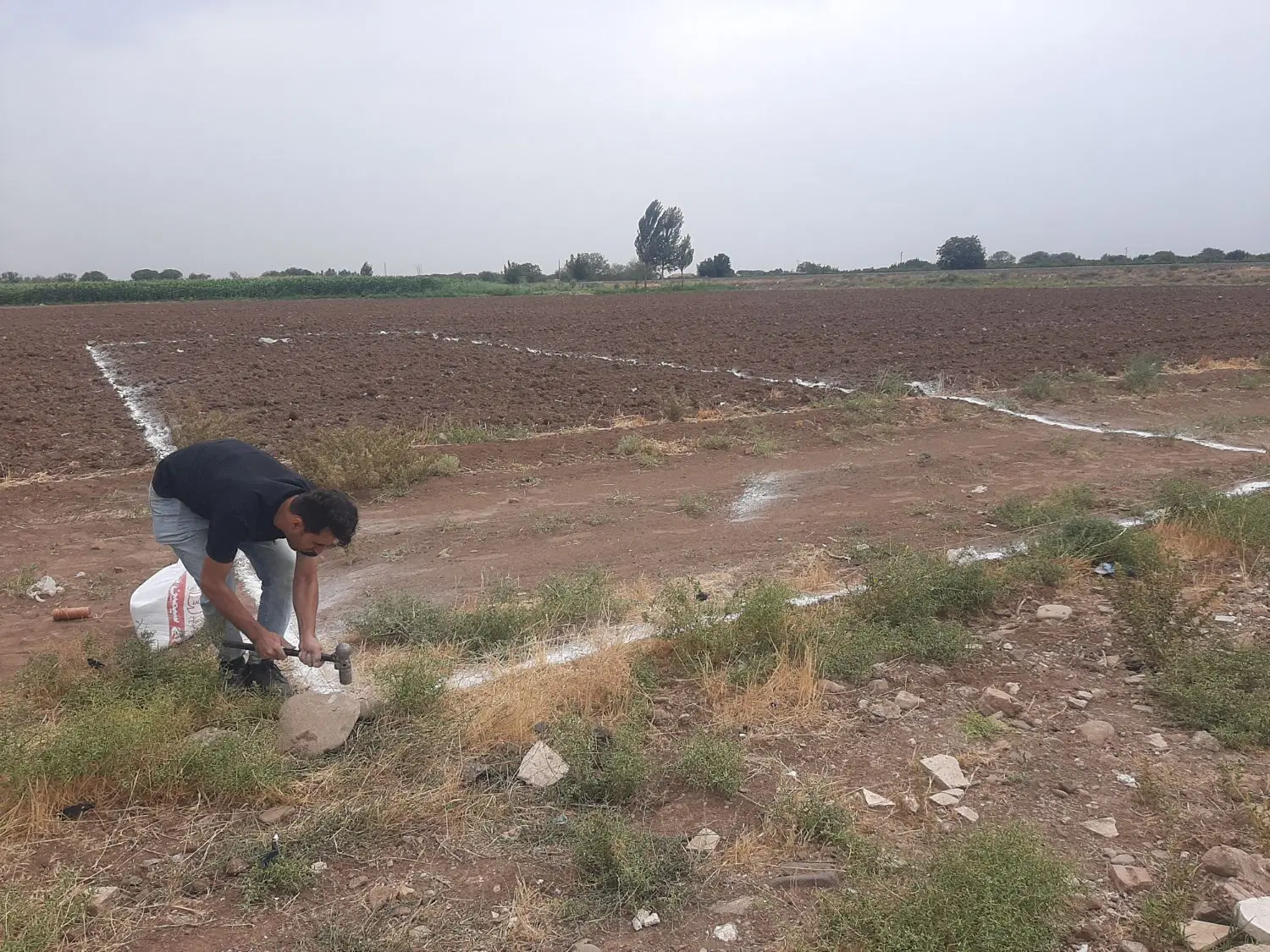 زمین مسکونی فروشی