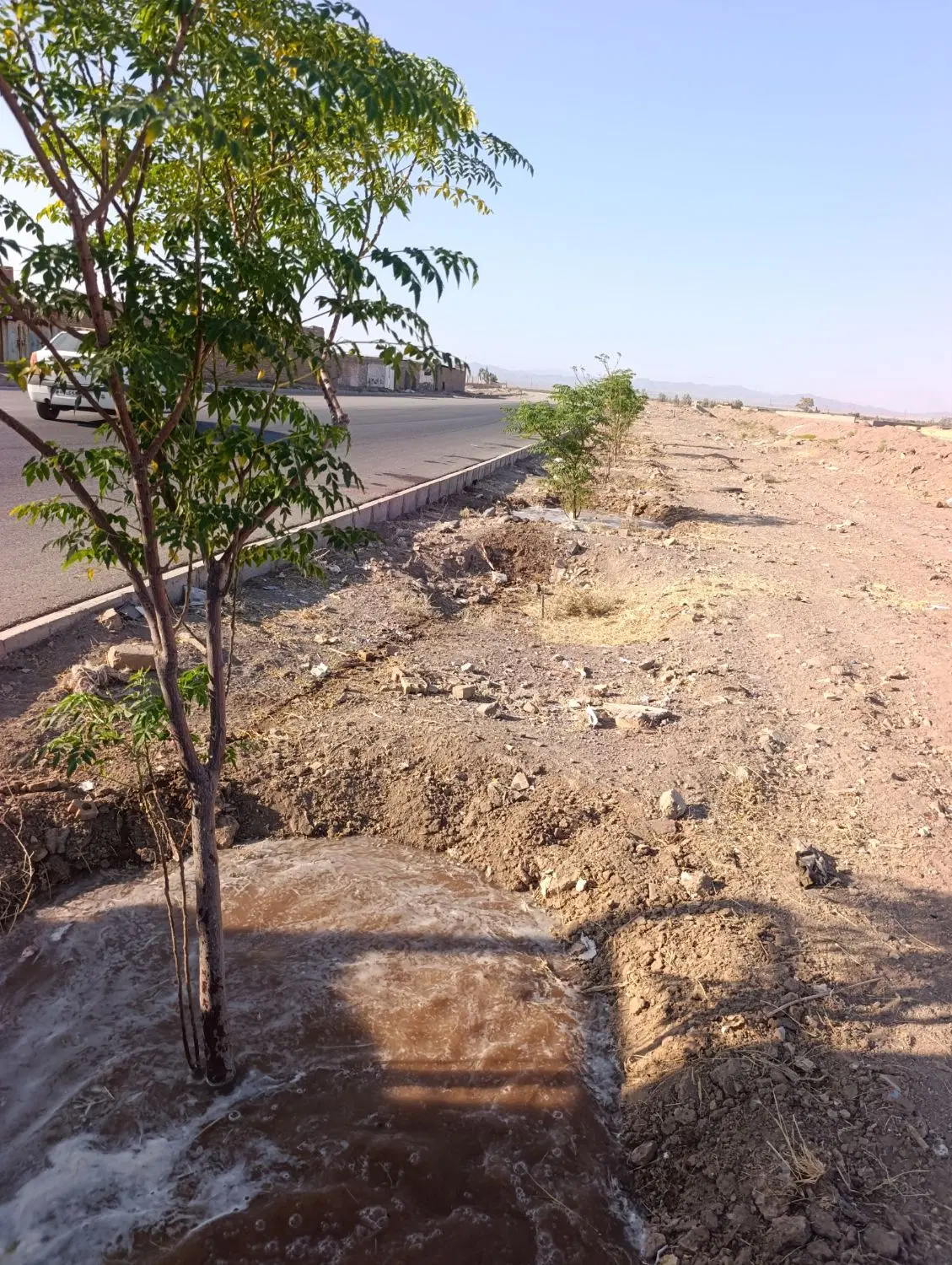 زمین مسکن ملی