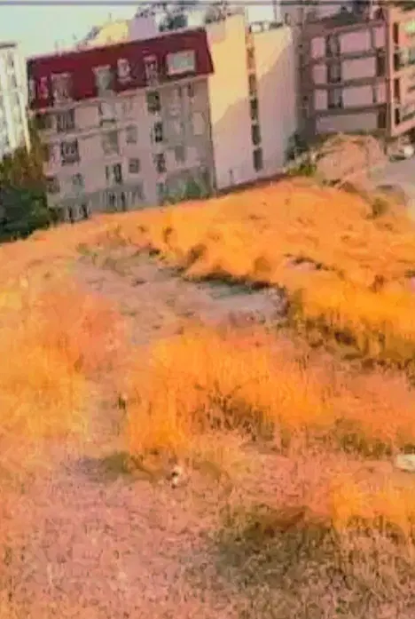 فروش زمین ۱۴۰متری سوهانک تهران