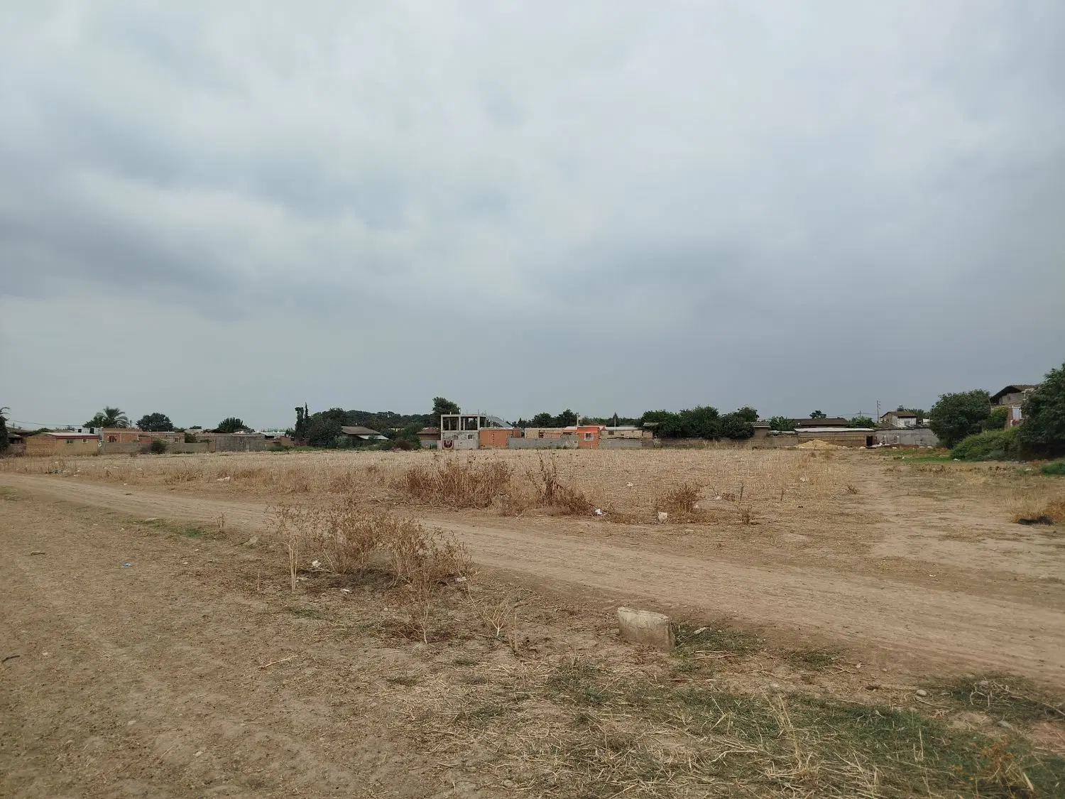 زمین
