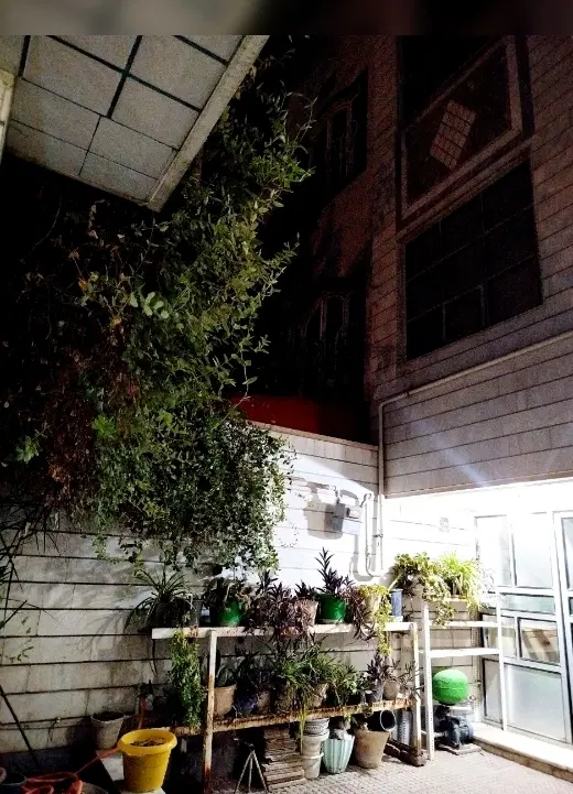 اجاره ی فوری خانه