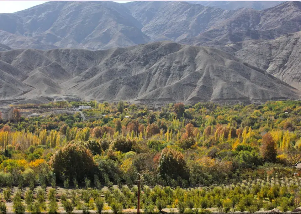 زمین فروشی سیرچ