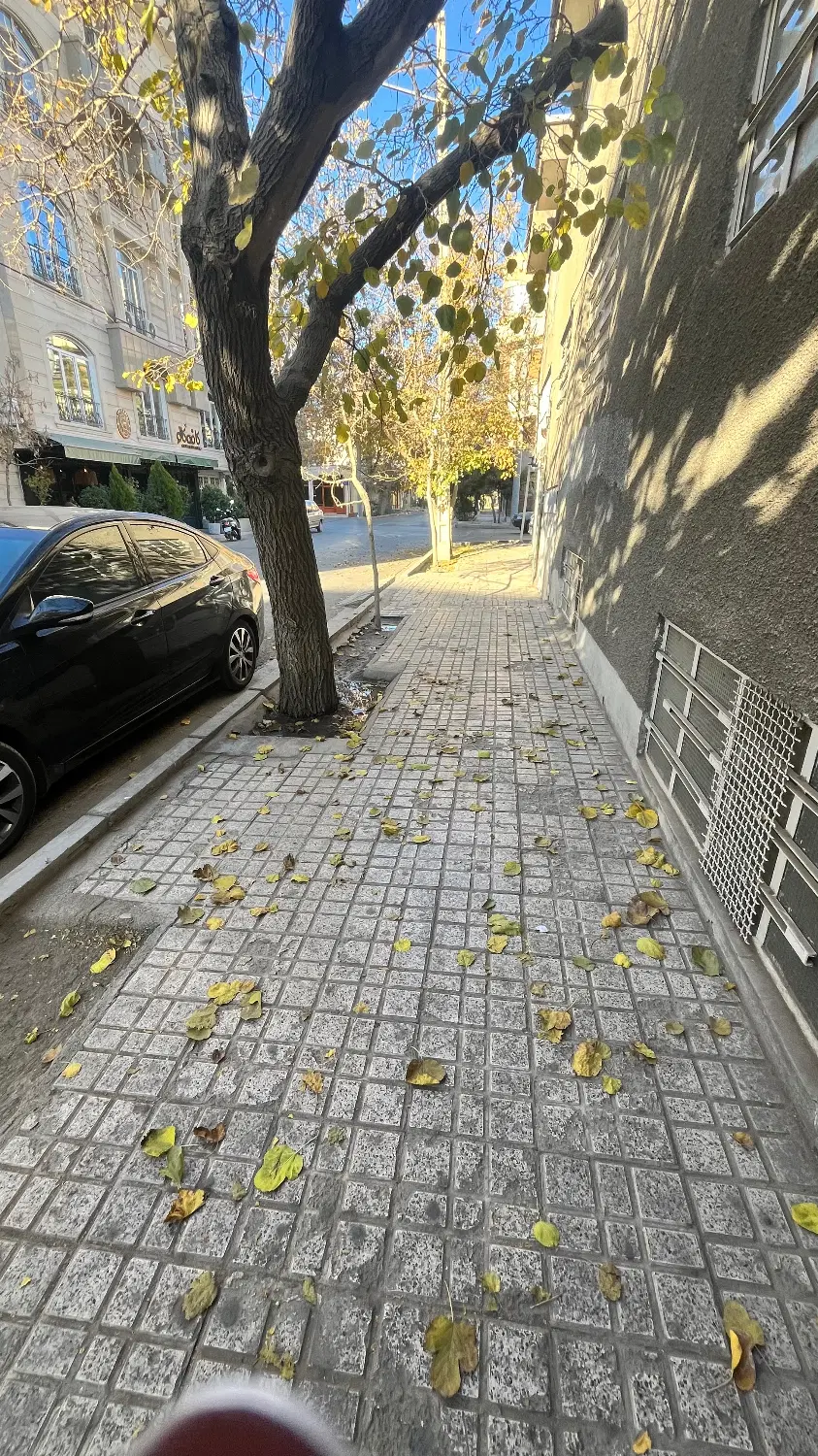 هم خونه