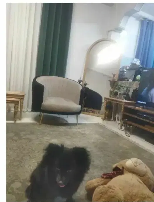 همخونه