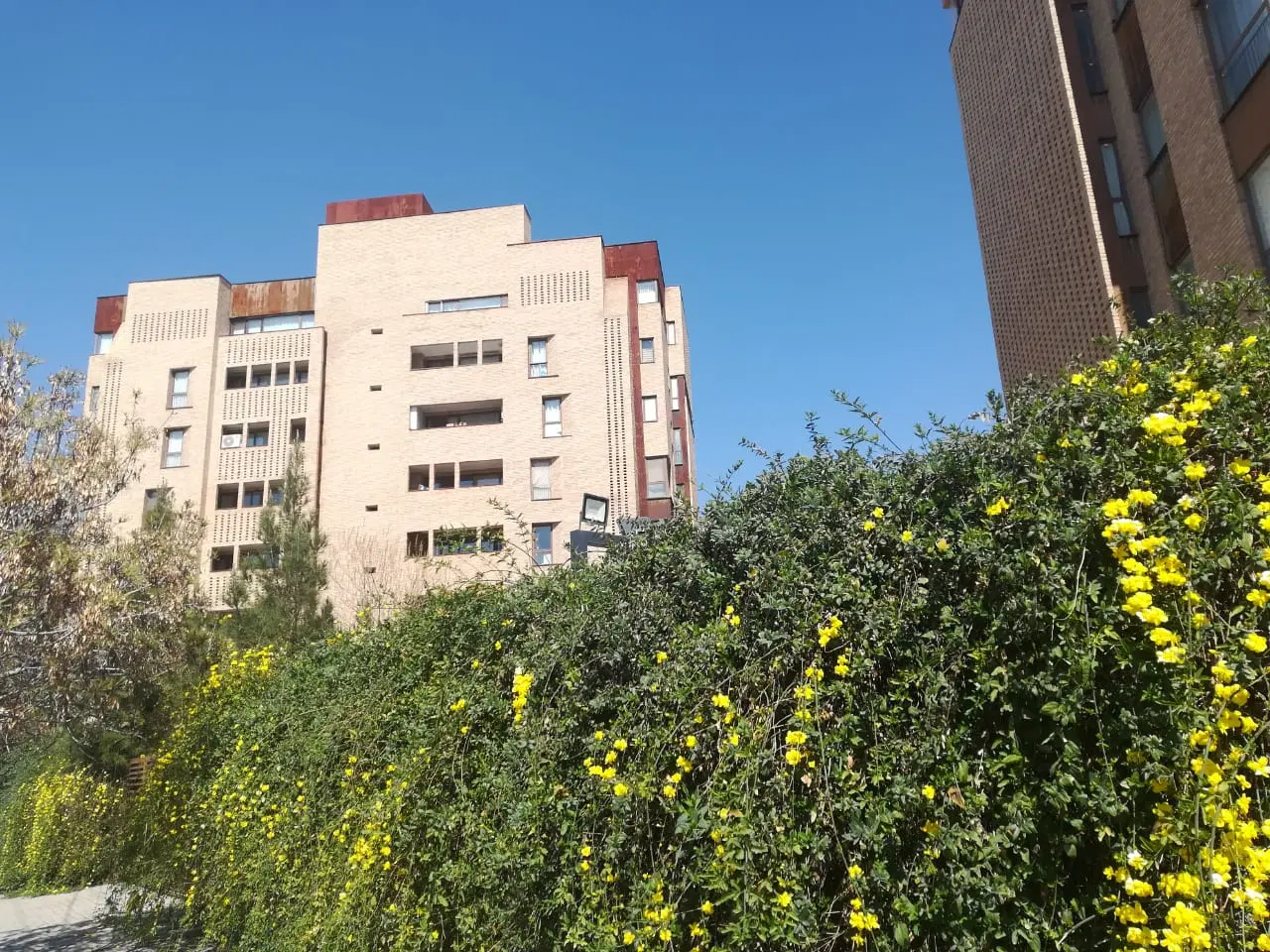 اپارتمان یک خوابه ،فضیلت