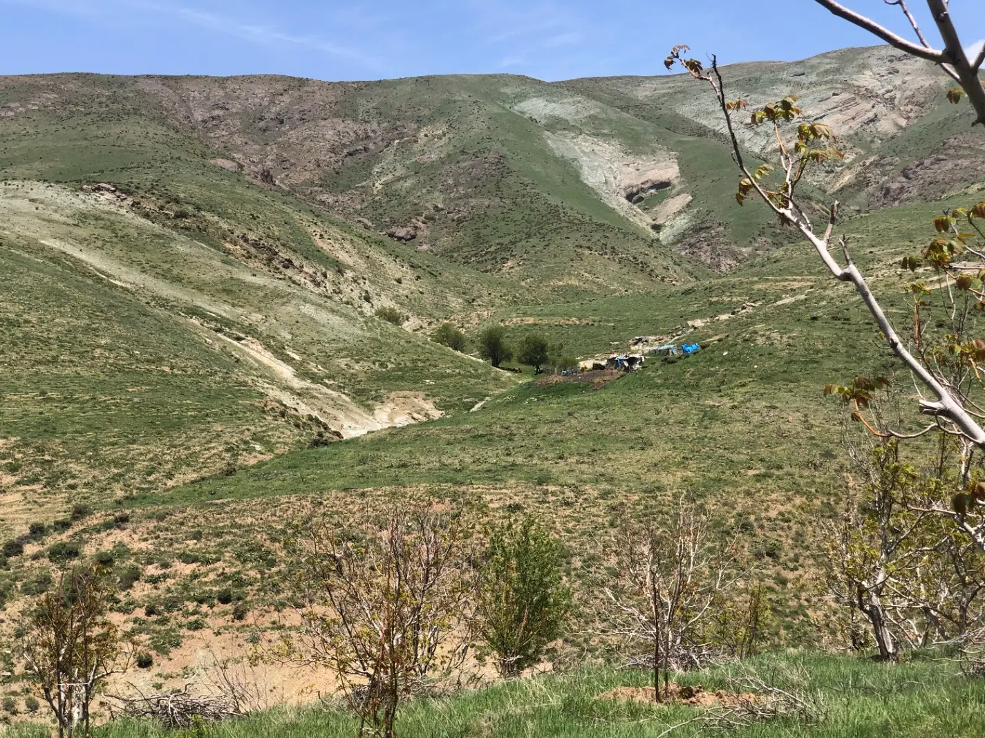 زمین دارای چشمه