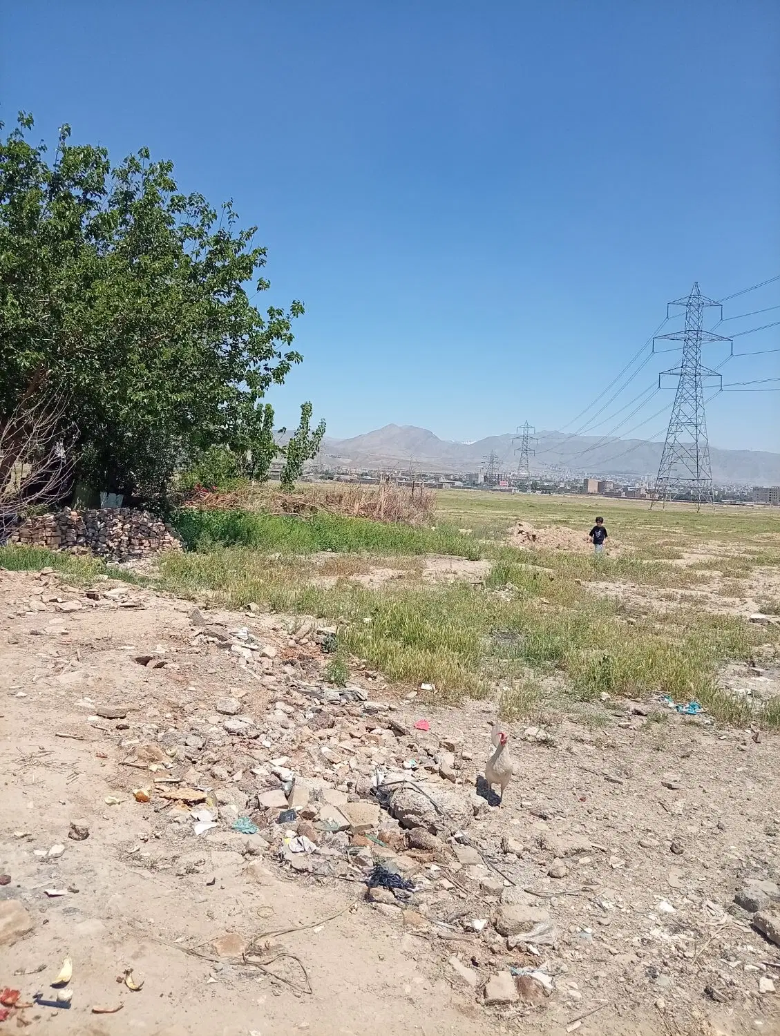 زمین کمالشهر