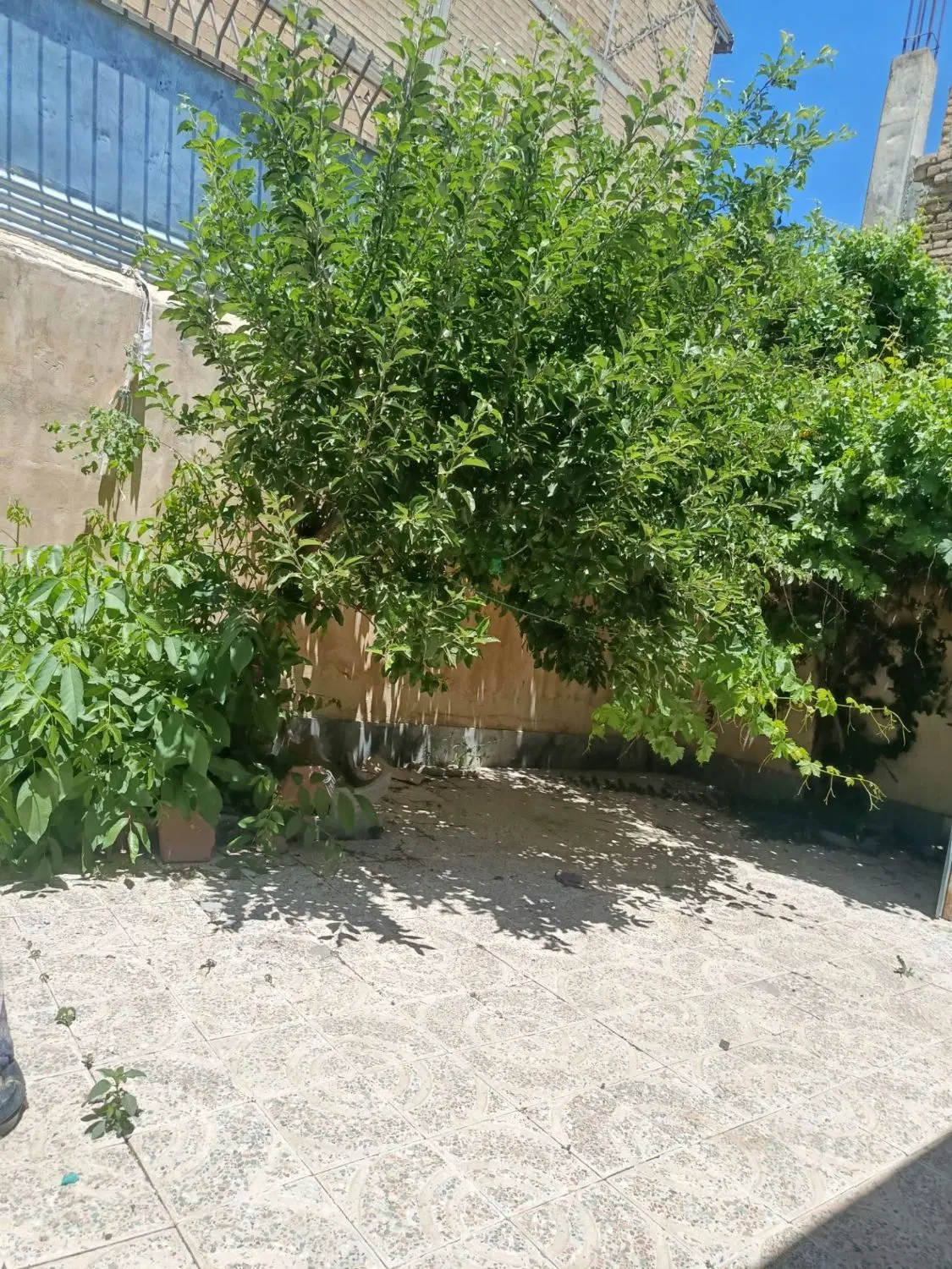 خانه ویلایی